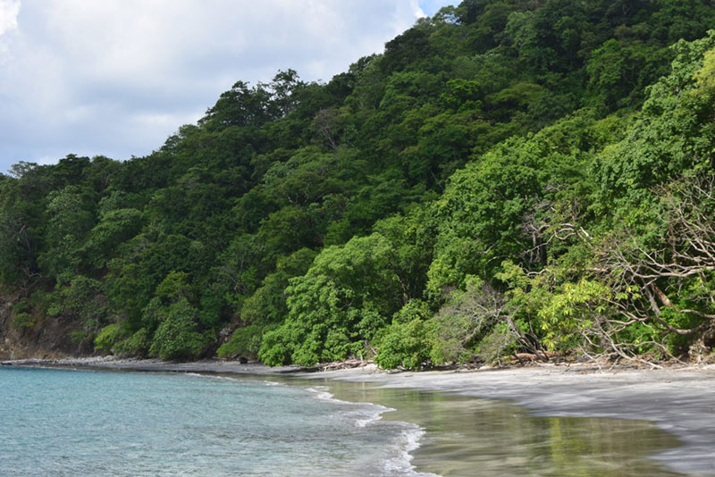 a beautiful and tranquil beach in costa rica