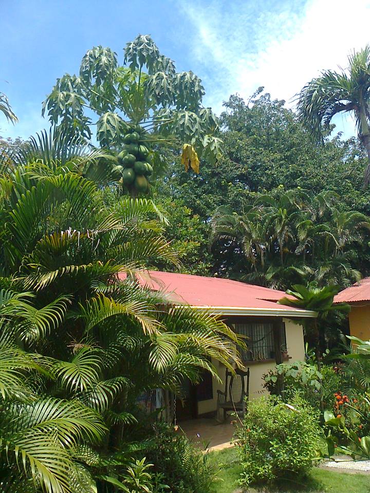 villa silvestre in playas del coco costa rica