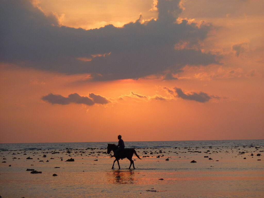 horseback riding at sunset