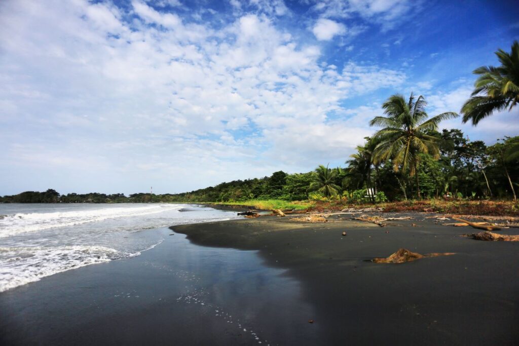 A black sand beach in Costa Rica lined with palm trees and a bright blue sky with clouds