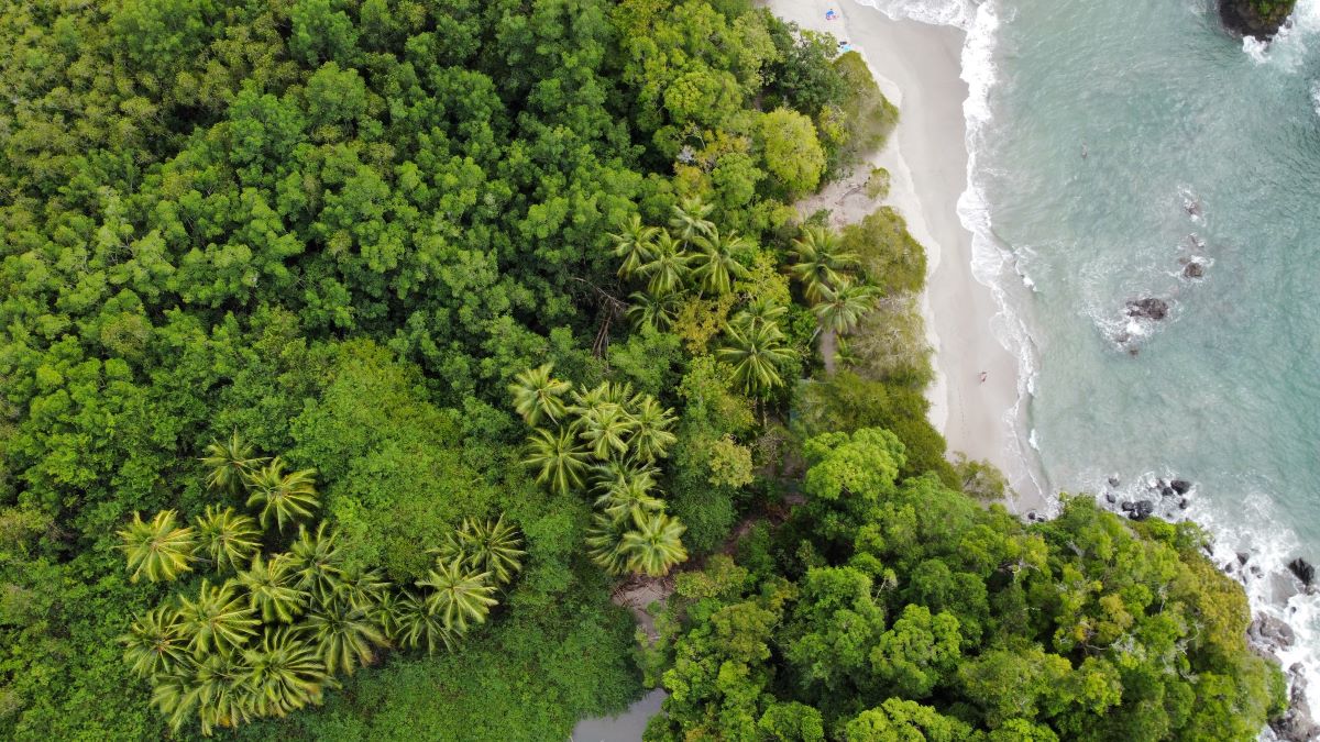 Aerial view of Manuel Antonio National Park