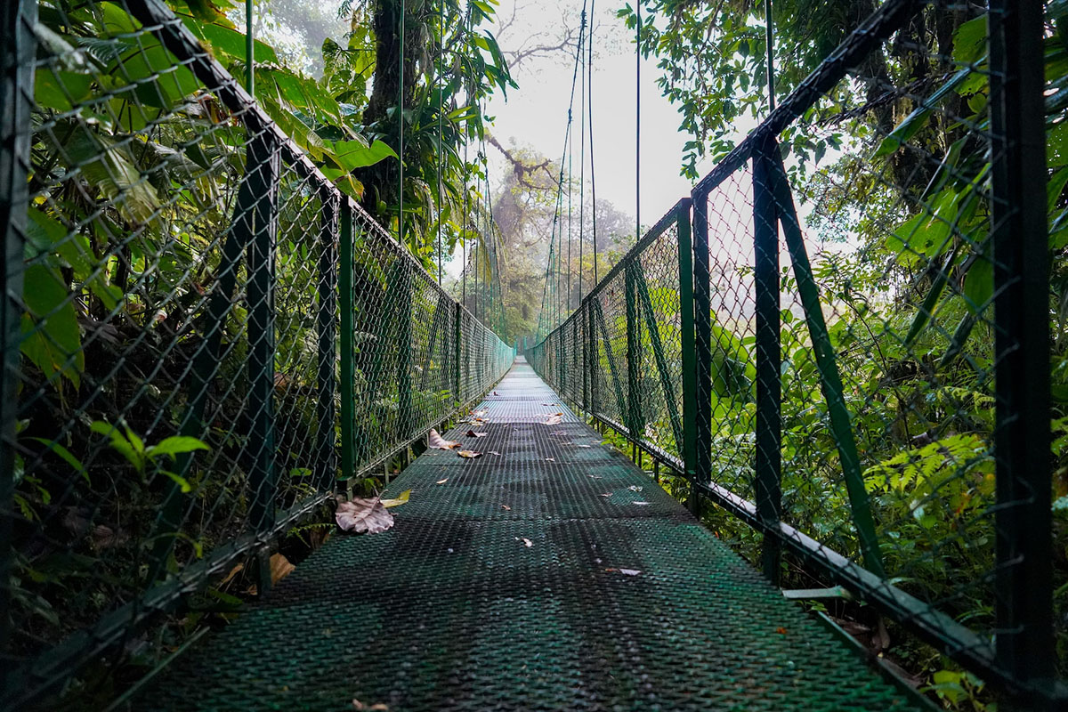 a hanging bridge